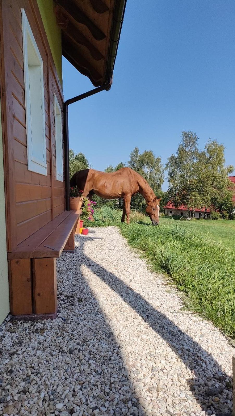 Apaluza - Unique Comfort & Relax In Nature Kopaniec Zewnętrze zdjęcie