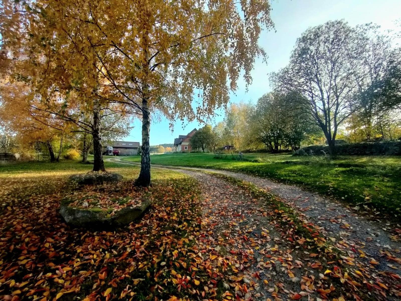 Apaluza - Unique Comfort & Relax In Nature Kopaniec Zewnętrze zdjęcie