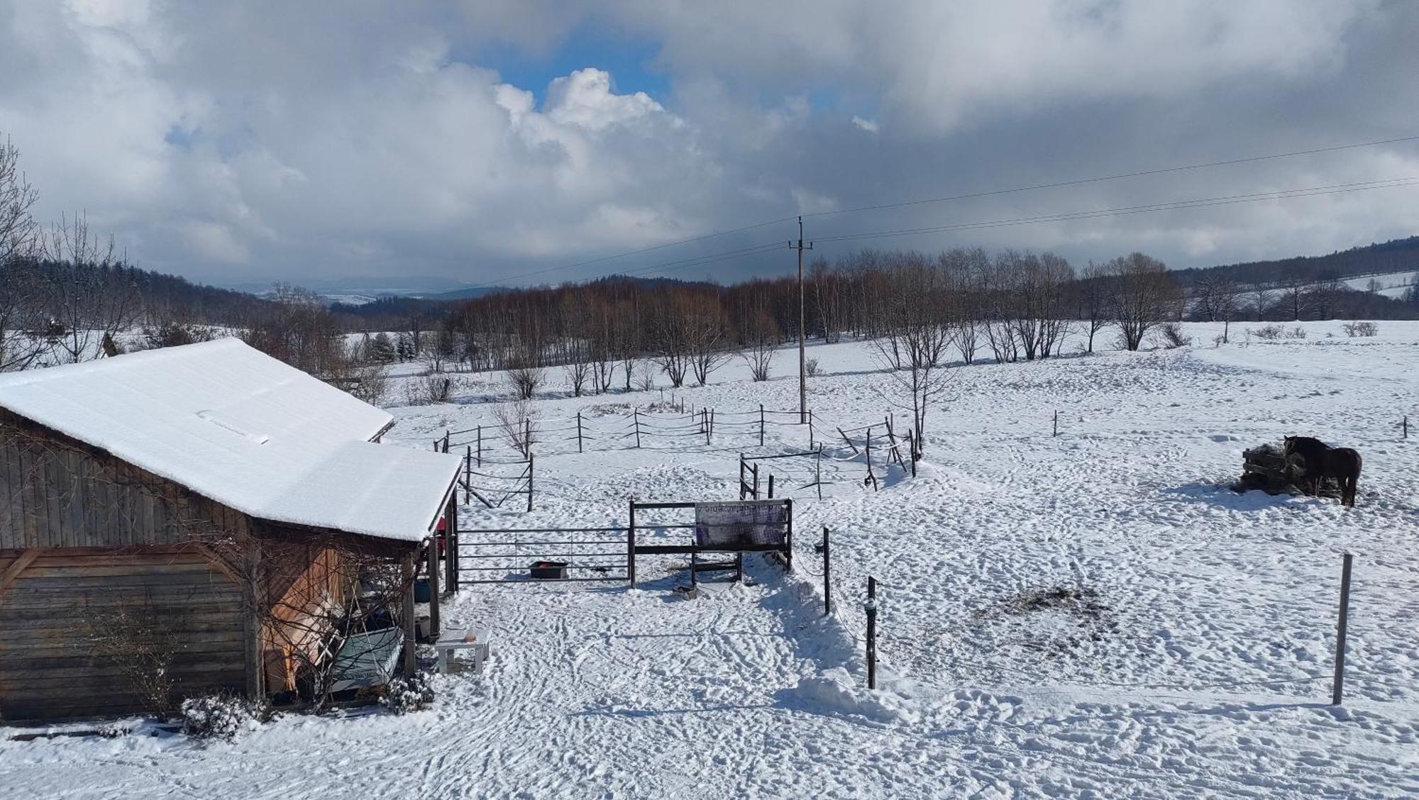 Apaluza - Unique Comfort & Relax In Nature Kopaniec Zewnętrze zdjęcie