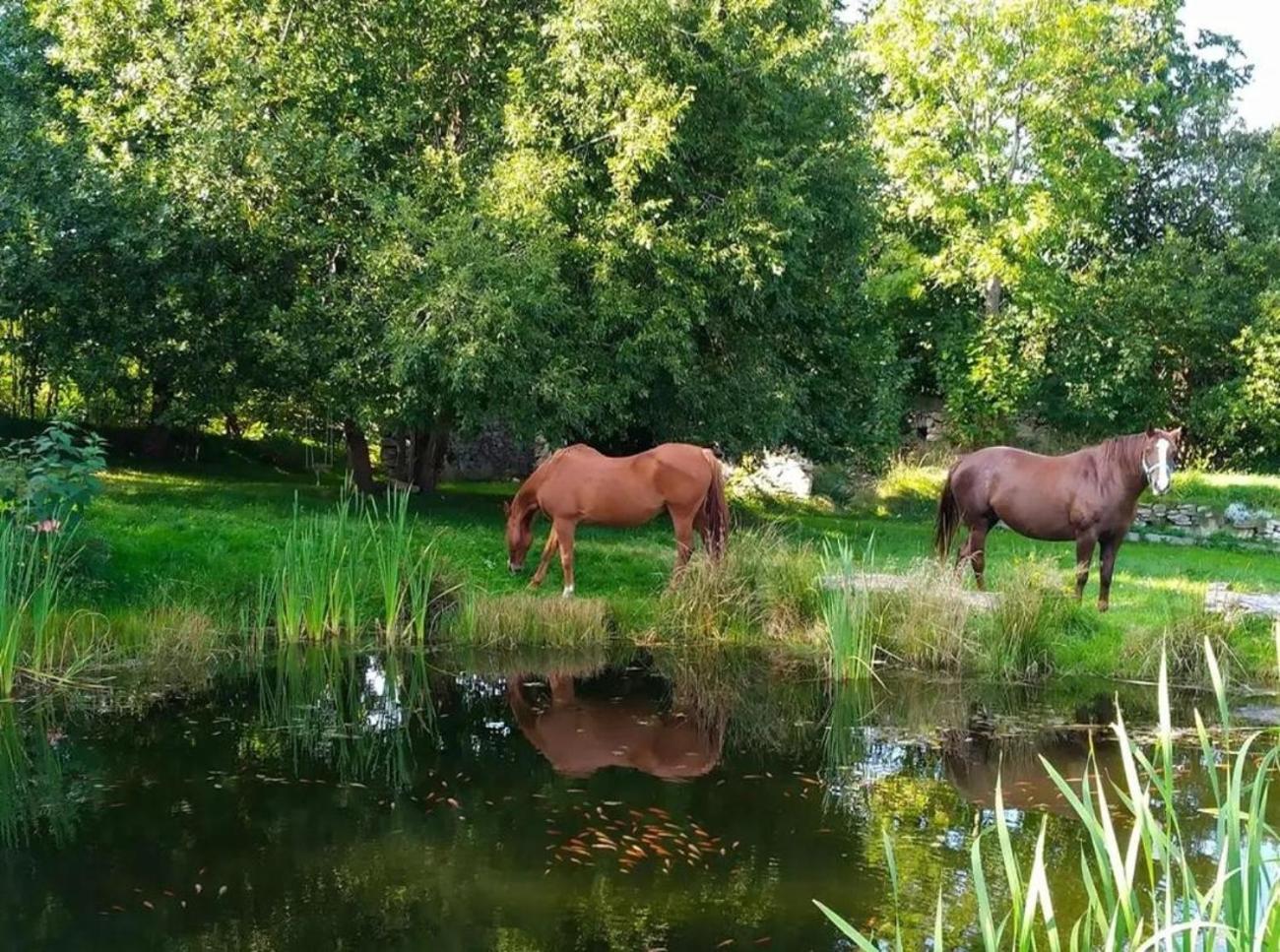 Apaluza - Unique Comfort & Relax In Nature Kopaniec Zewnętrze zdjęcie